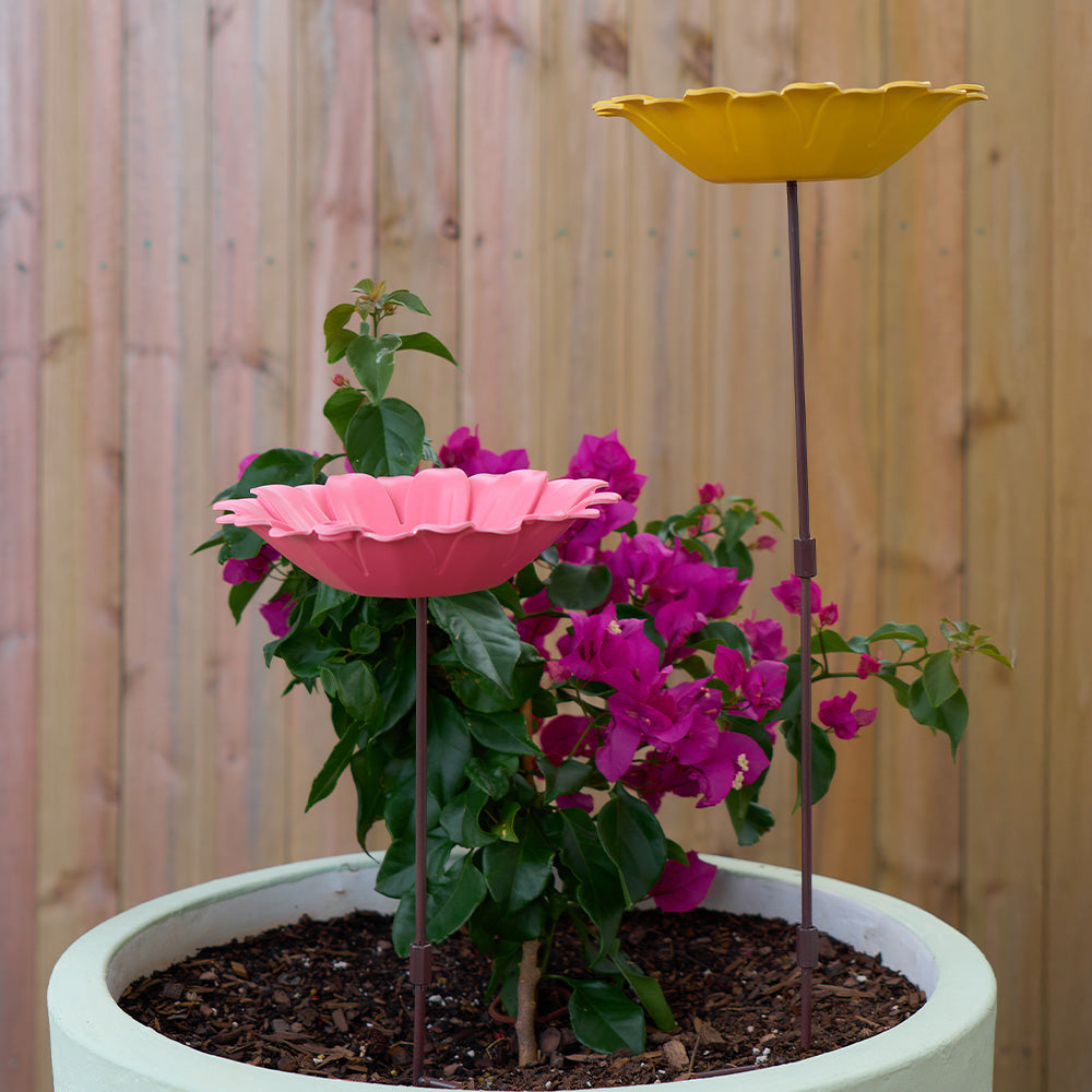 Bird Bath Bamboo Sunflower Yellow