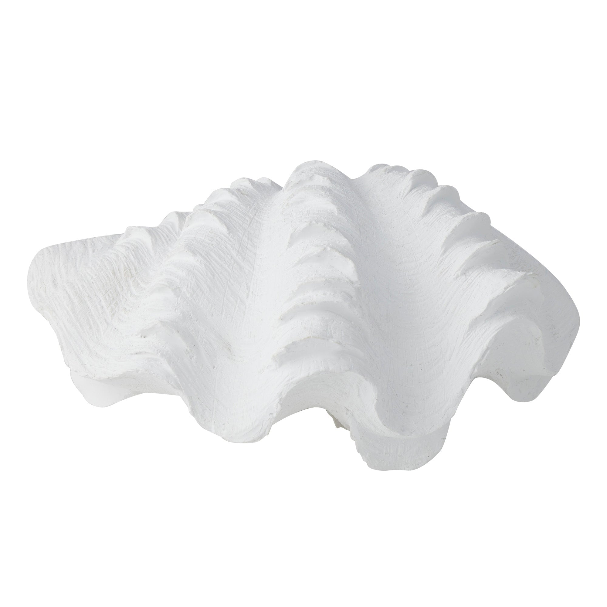 Clam Resin Shell White