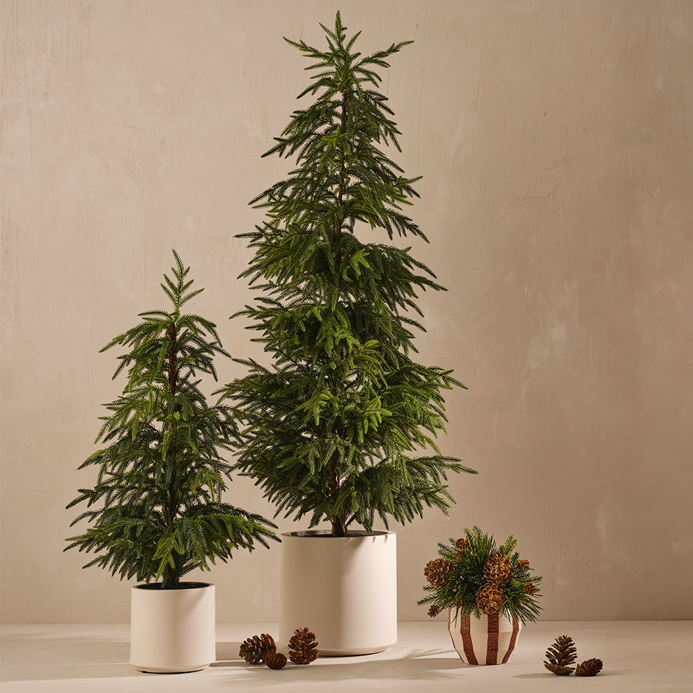 Oreio Pot Brownie