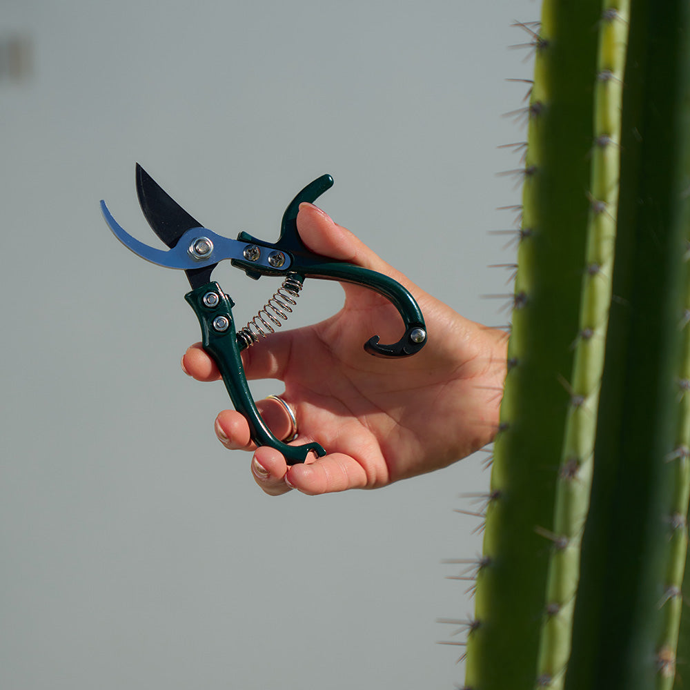 Sprout Mini Pruners