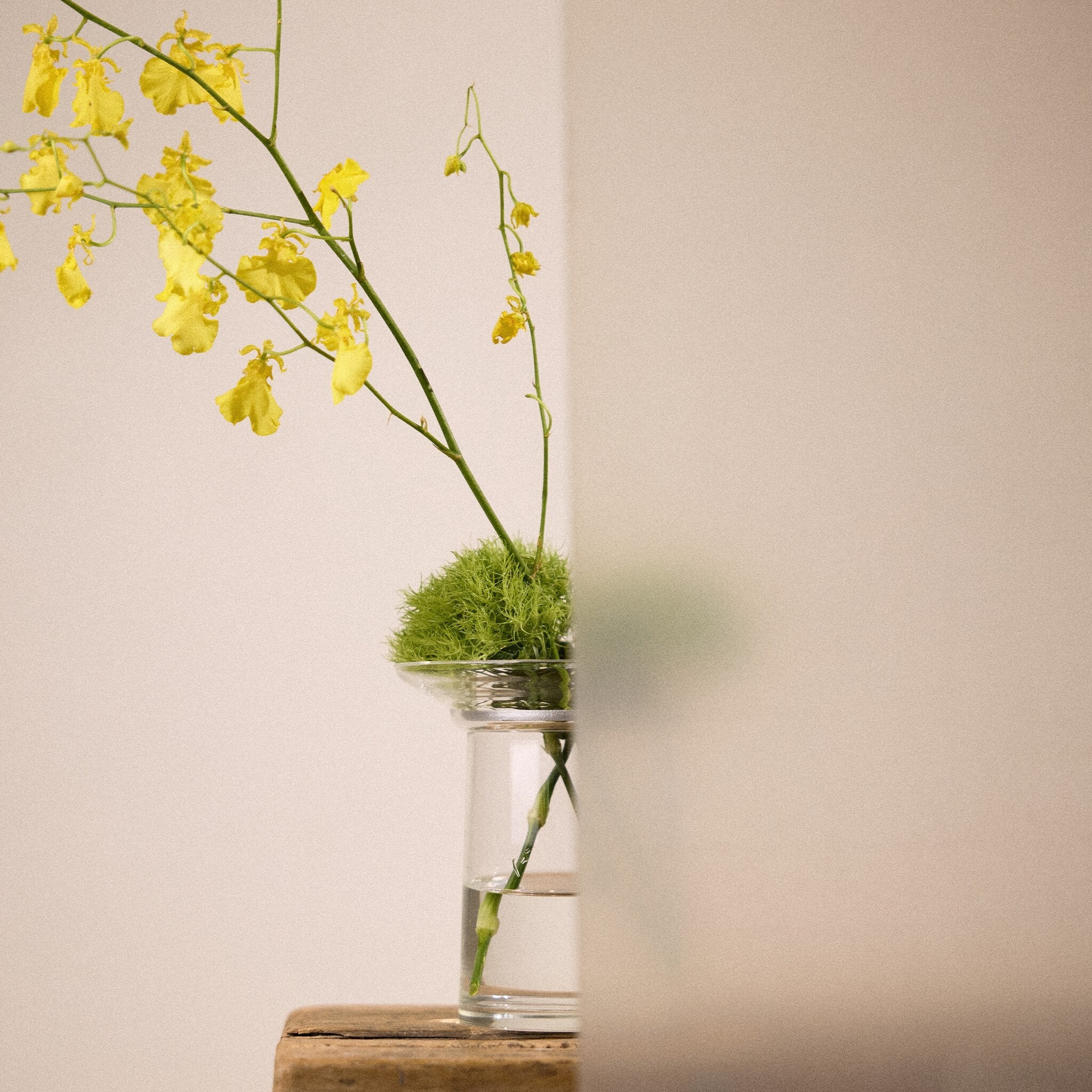 Studio Milligram Ikebana Vase Clear MEDIUM