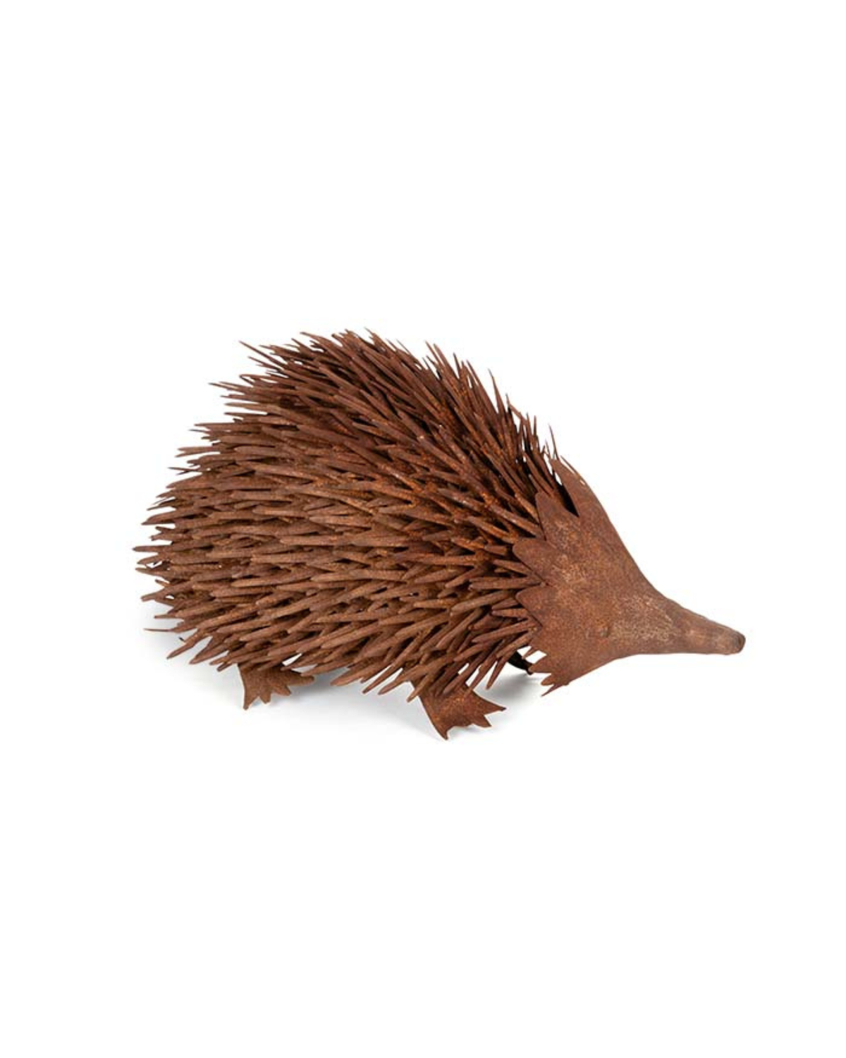 Echidna Rust Large