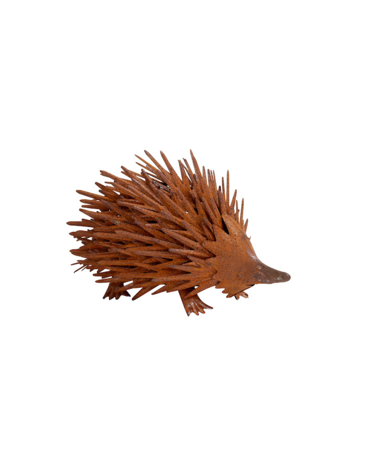 Echidna Rust Small
