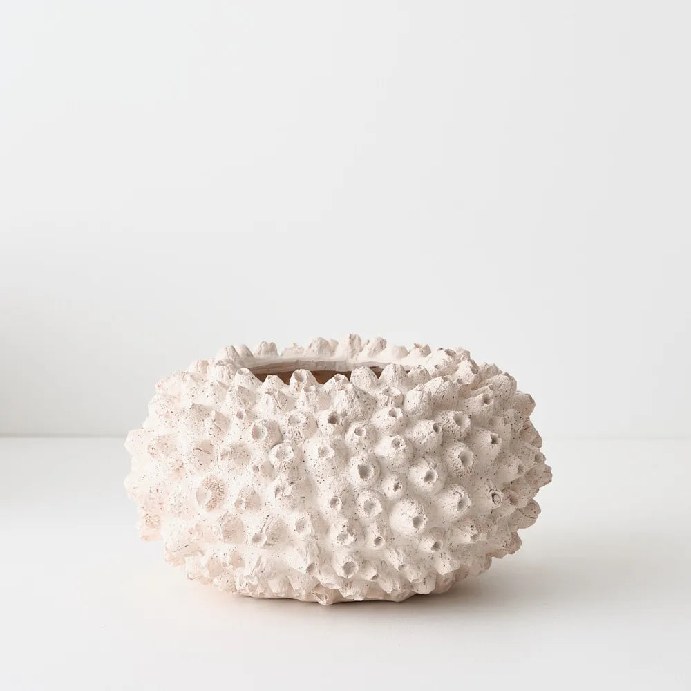 Bello Pot