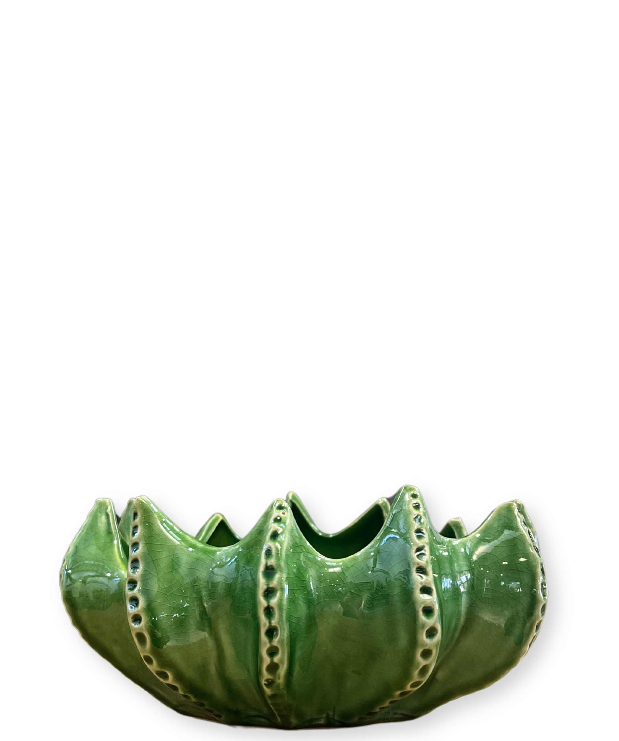 Cacti Bowl