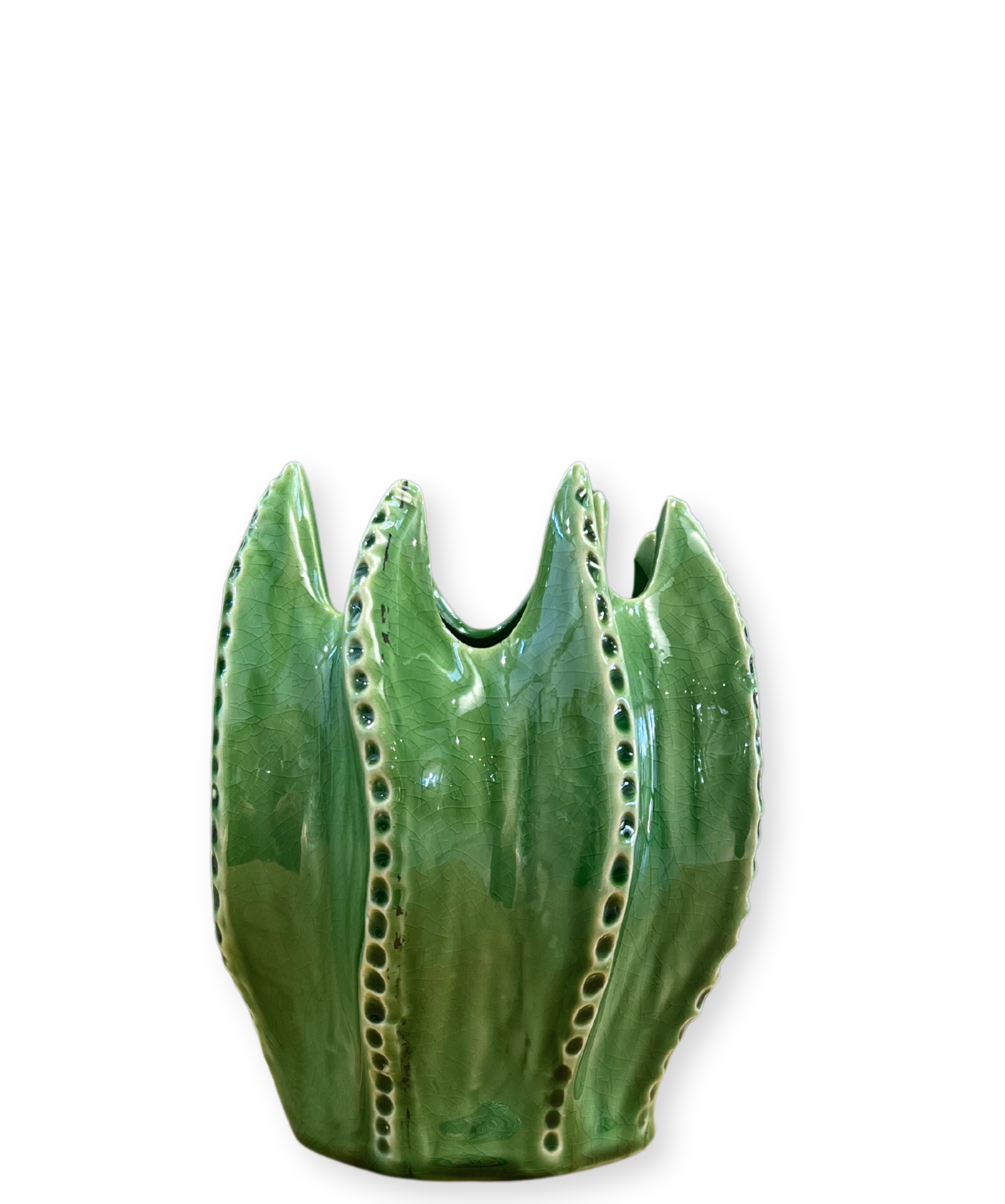 Cacti Vase