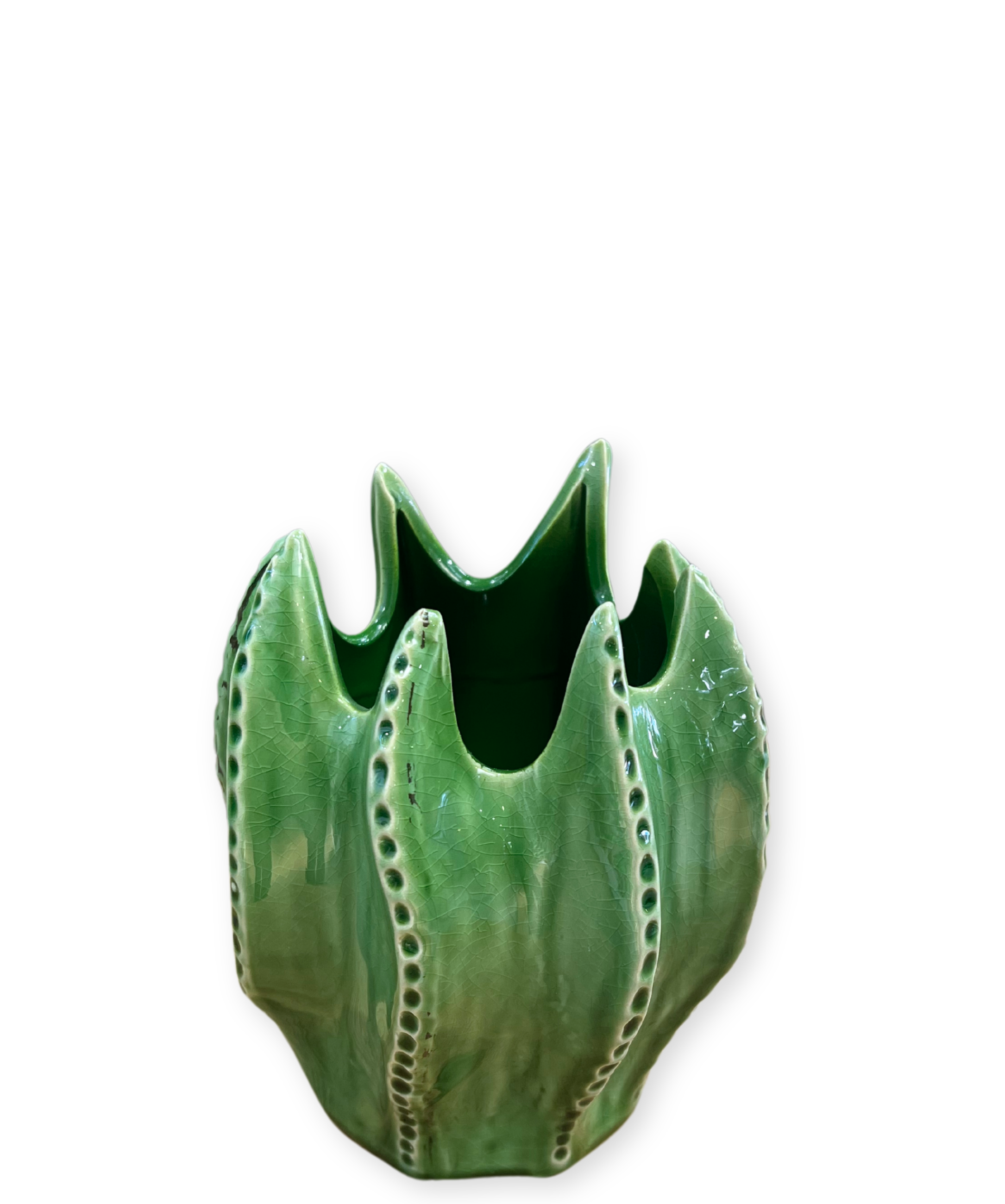 Cacti Vase