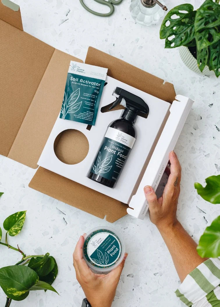 Indoor Plant Care Kit