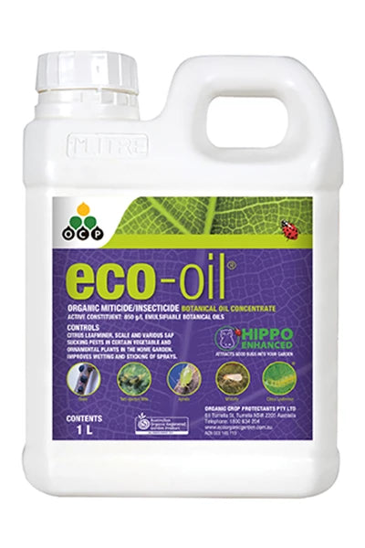 Eco Oil