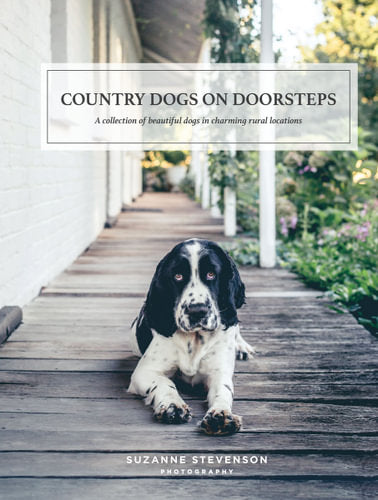 Country Dogs On Doorsteps