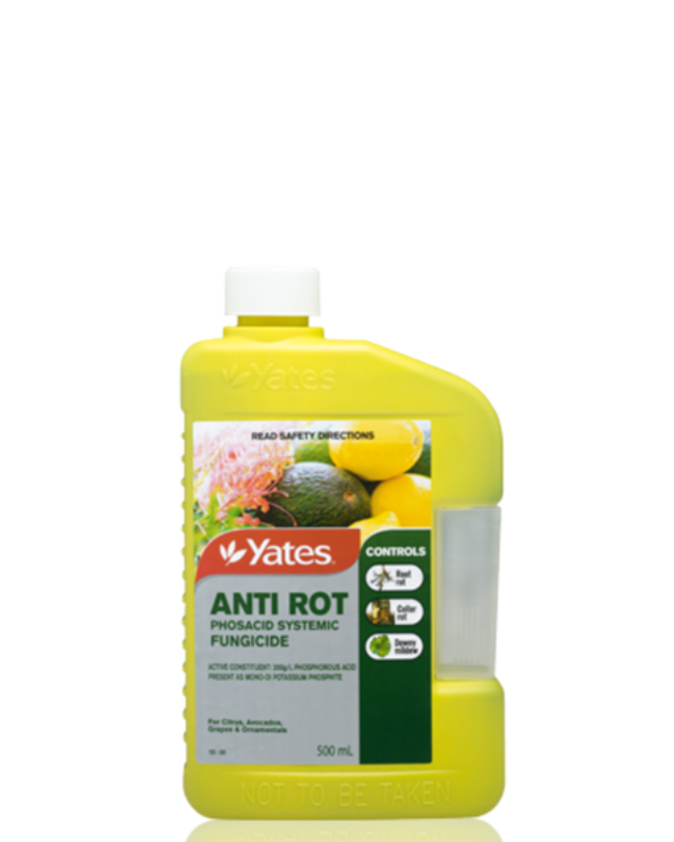 Anti Rot