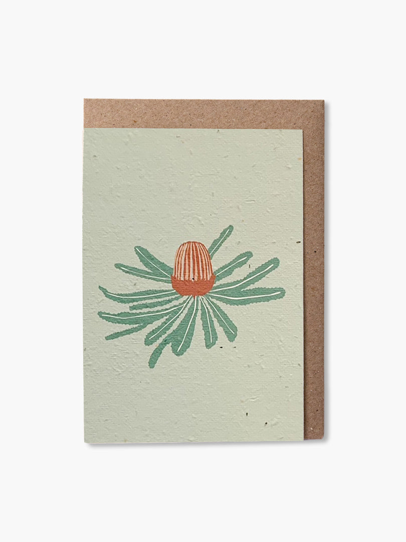 Plantable Card - Banksia