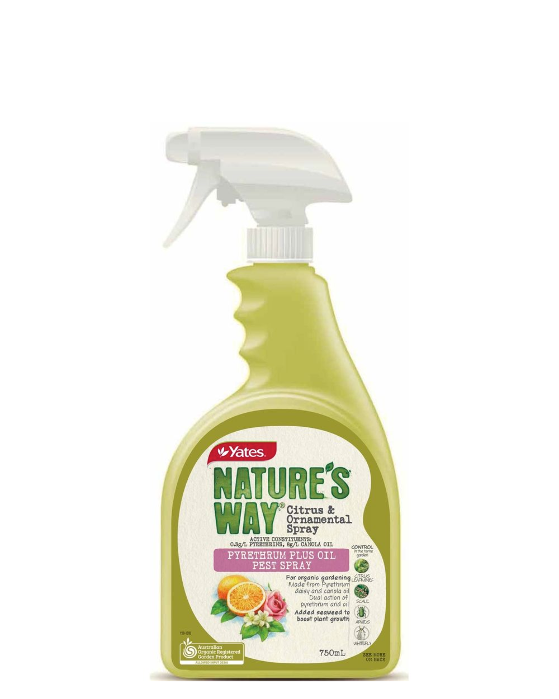 Natures Way Natrasoap - Ready To Use