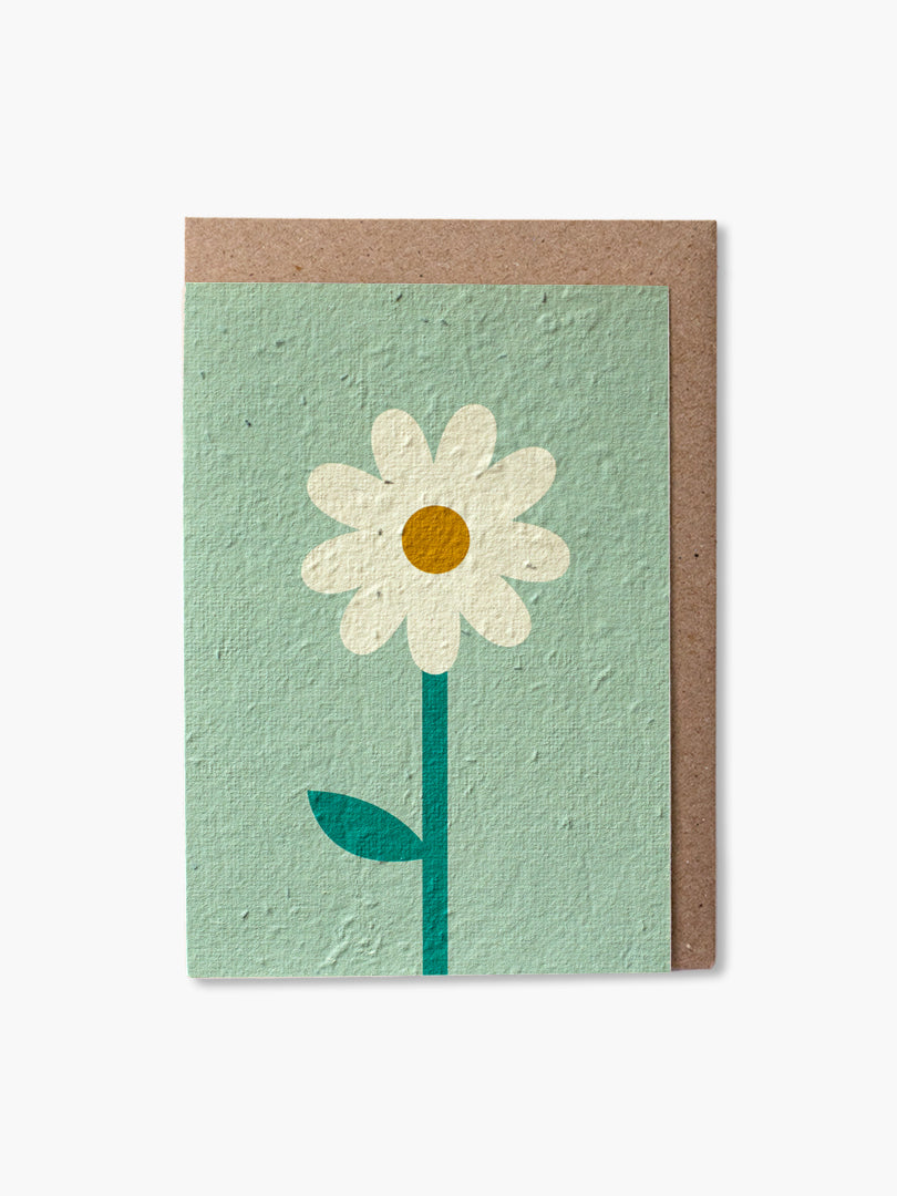 Plantable Card - Daisy