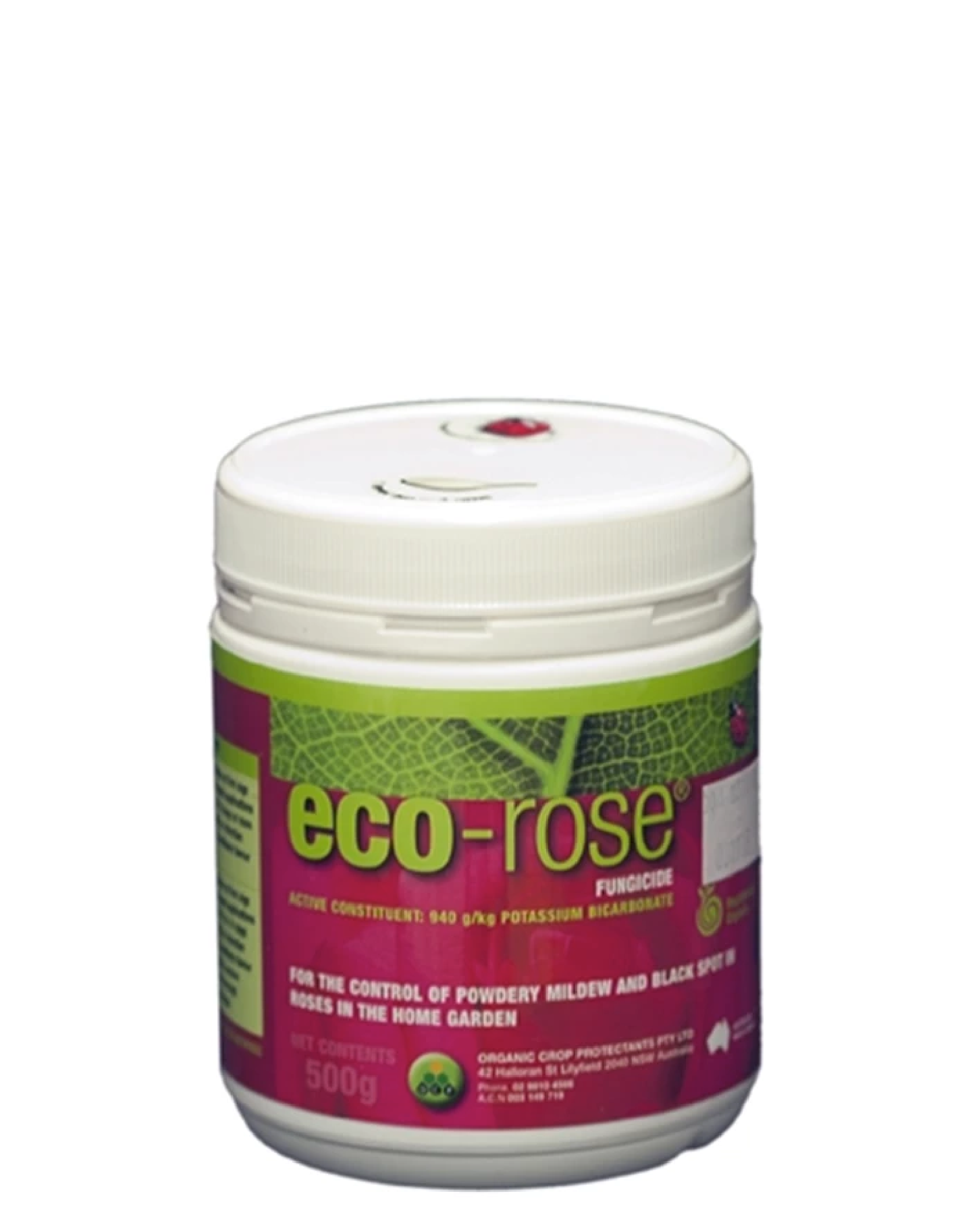 Eco Rose