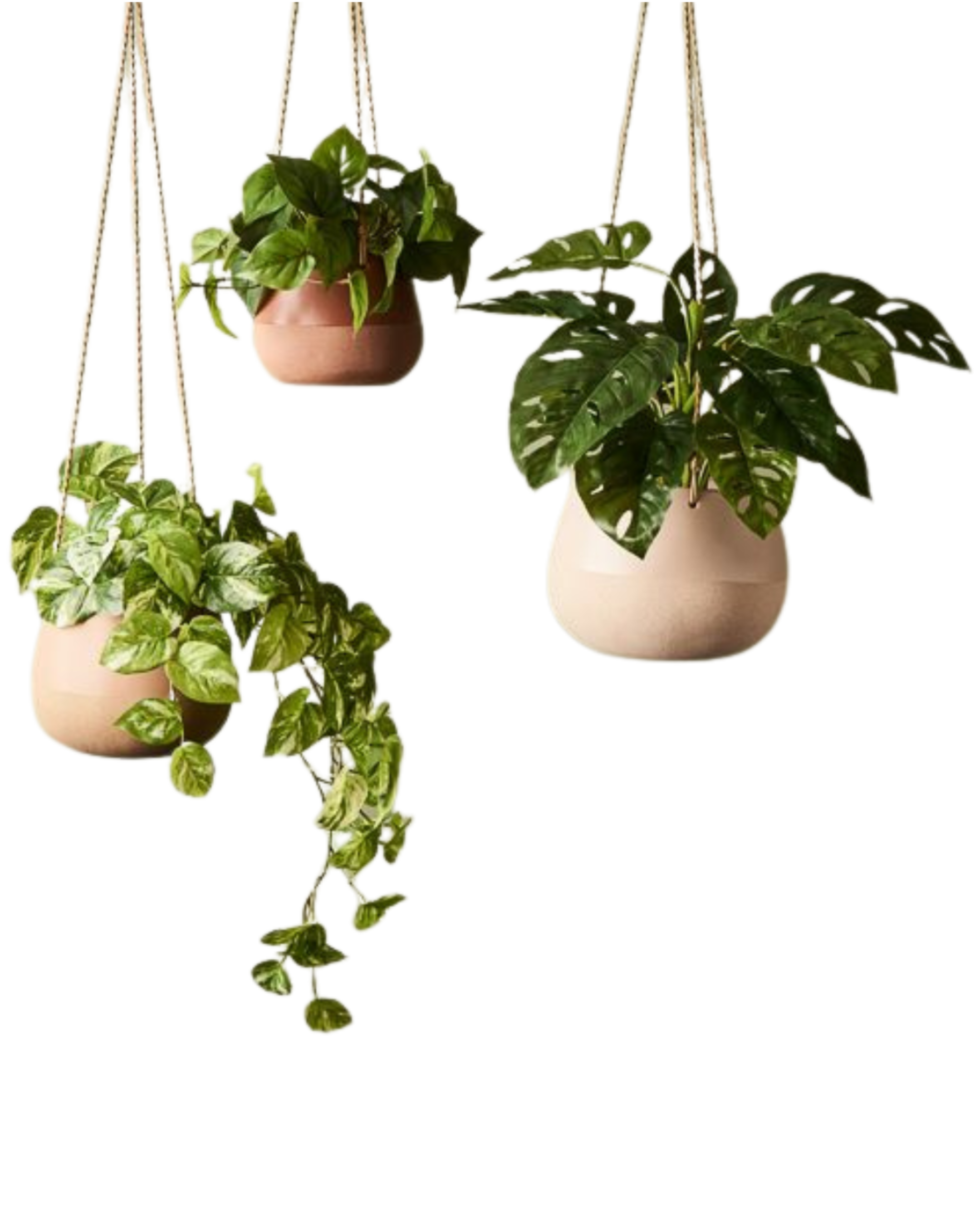 Iosetta Hanging Pot