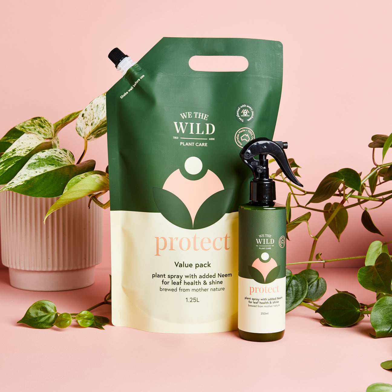 We The Wild Leaf Health Kit