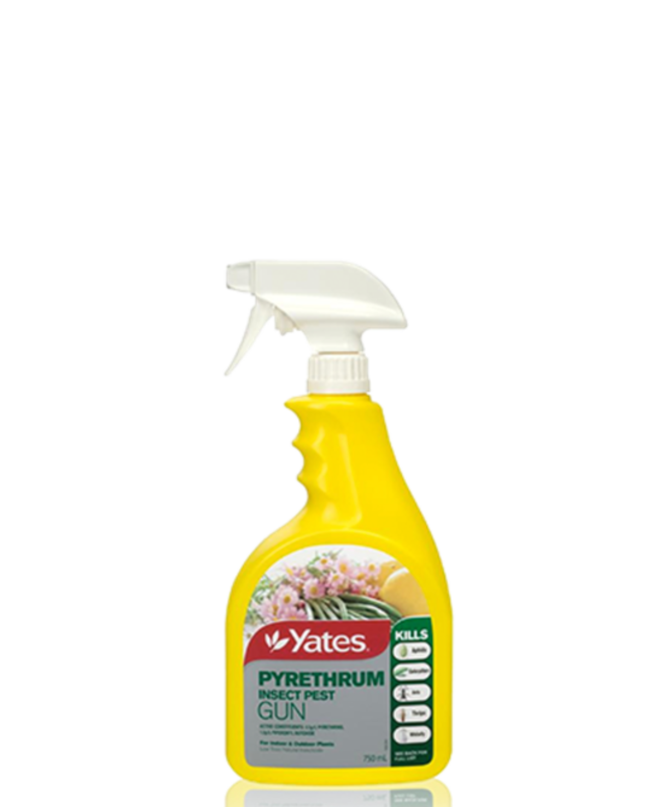 Pyrethrum Spray - Ready To Use