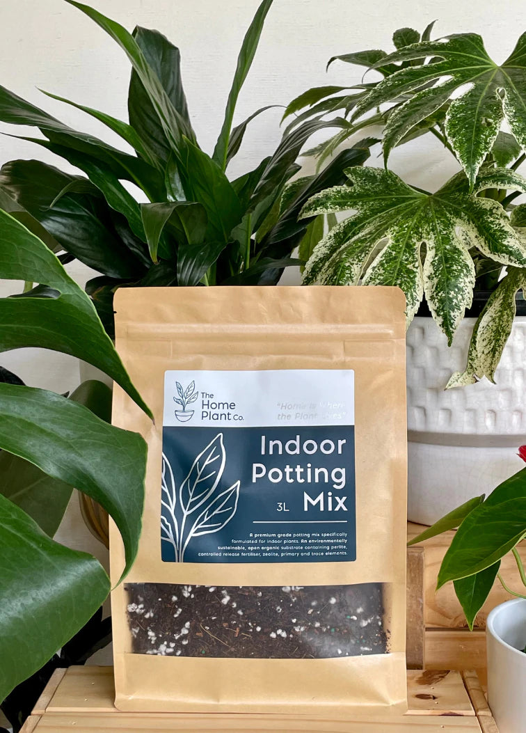 Indoor Potting Mix