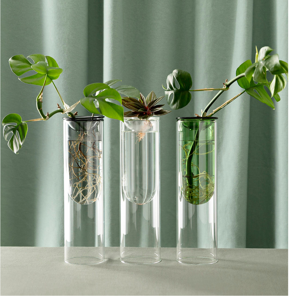 Studio Milligram Propagation Vase