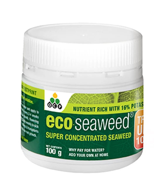 Eco Seaweed