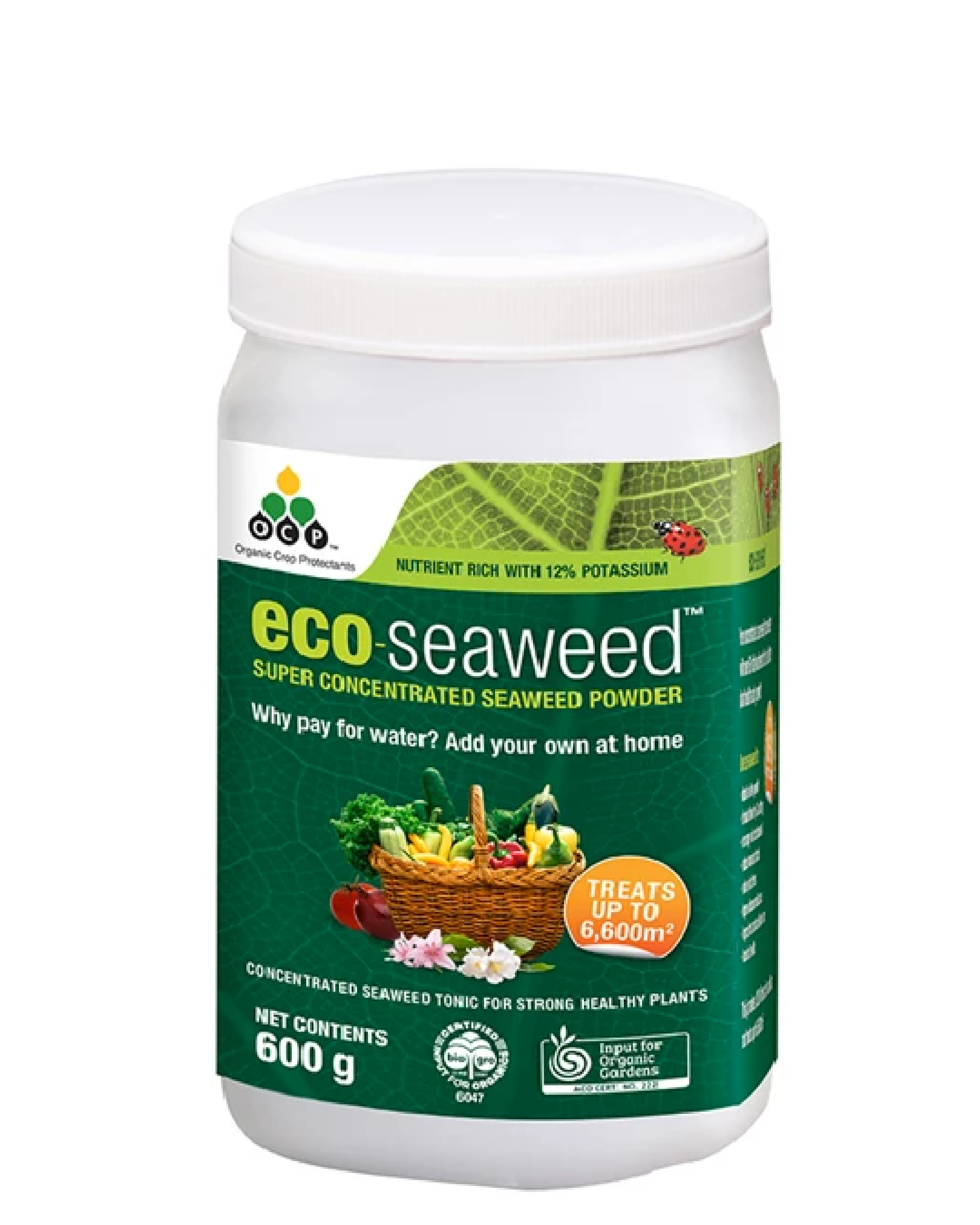 Eco Seaweed